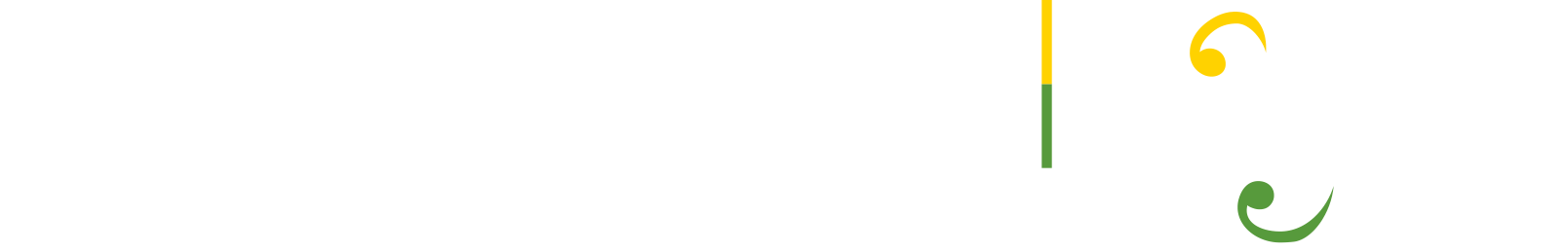 Conheça a Prudential do Brasil